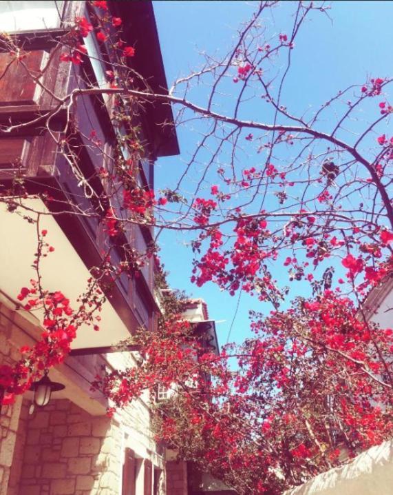 Alayaz Hotel 알라카티 외부 사진
