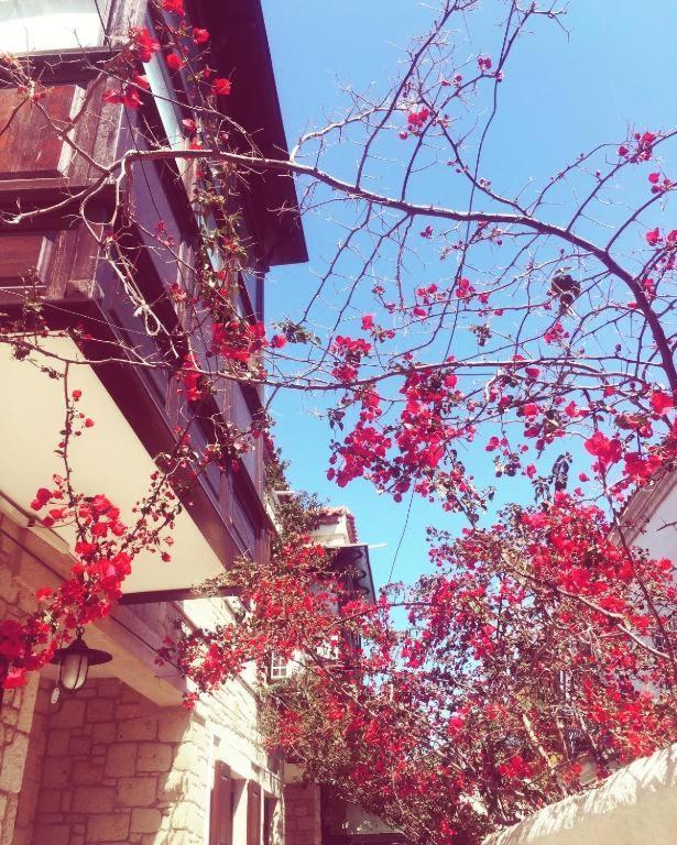 Alayaz Hotel 알라카티 외부 사진