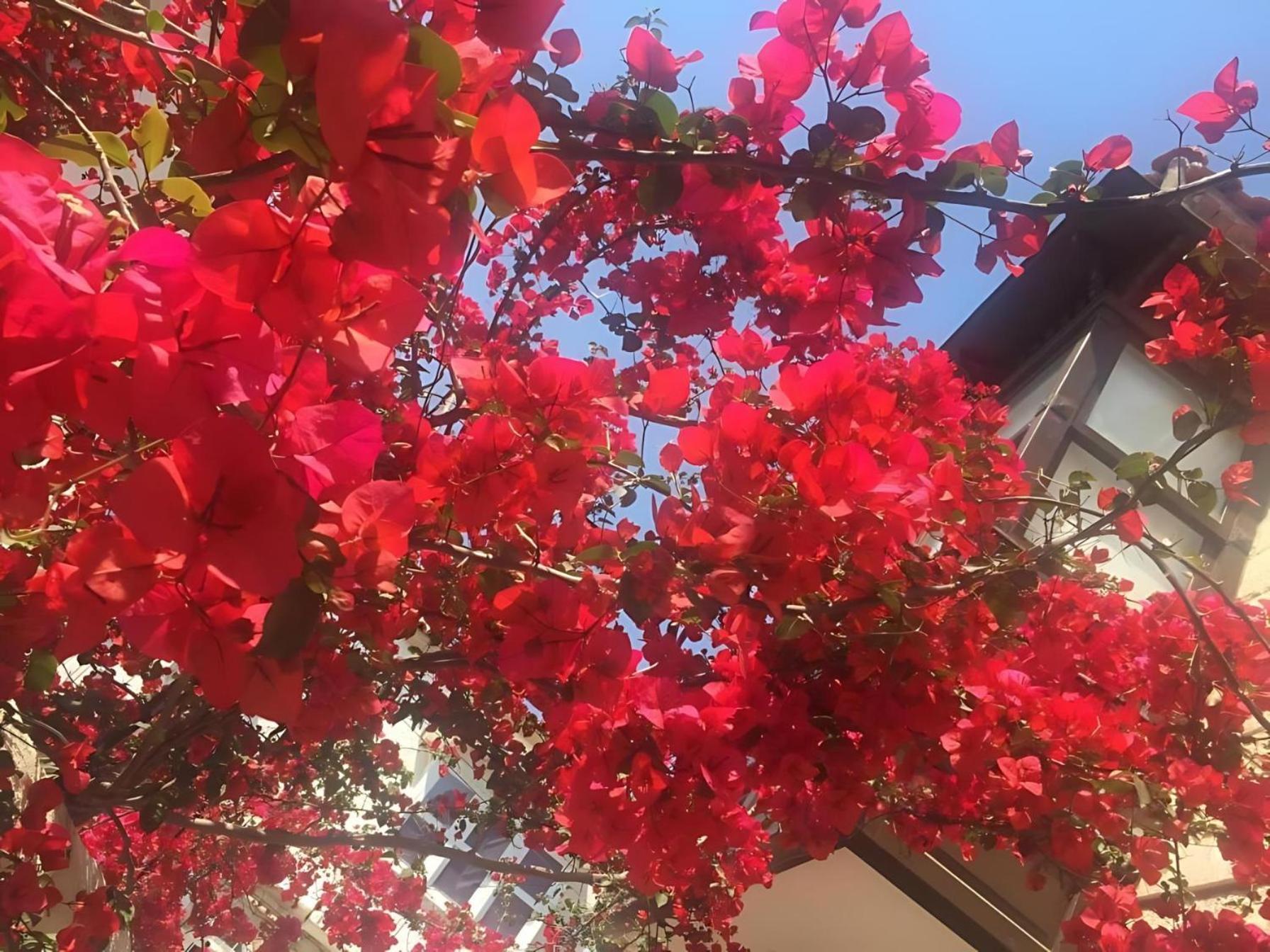 Alayaz Hotel 알라카티 외부 사진