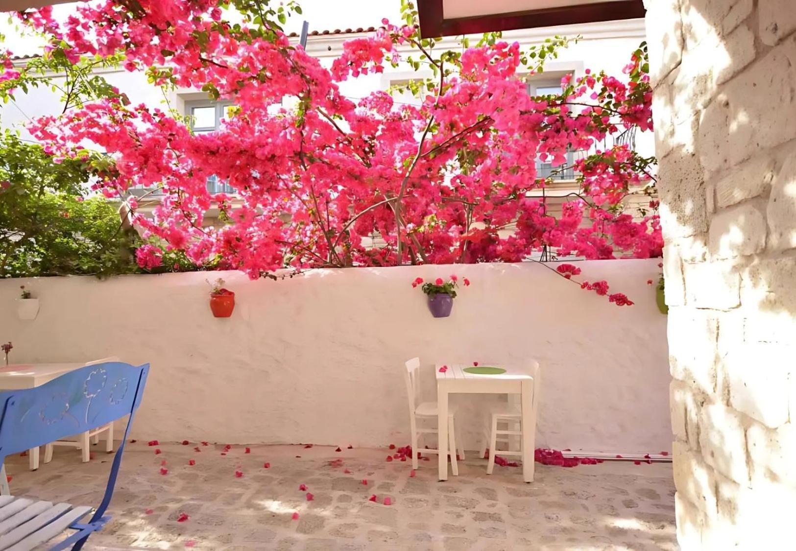 Alayaz Hotel 알라카티 외부 사진