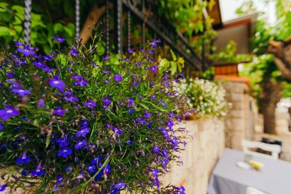 Alayaz Hotel 알라카티 외부 사진